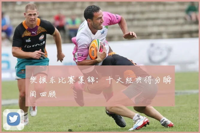 樊振东比赛集锦：十大经典得分瞬间回顾