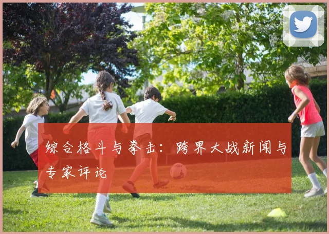 综合格斗与拳击：跨界大战新闻与专家评论