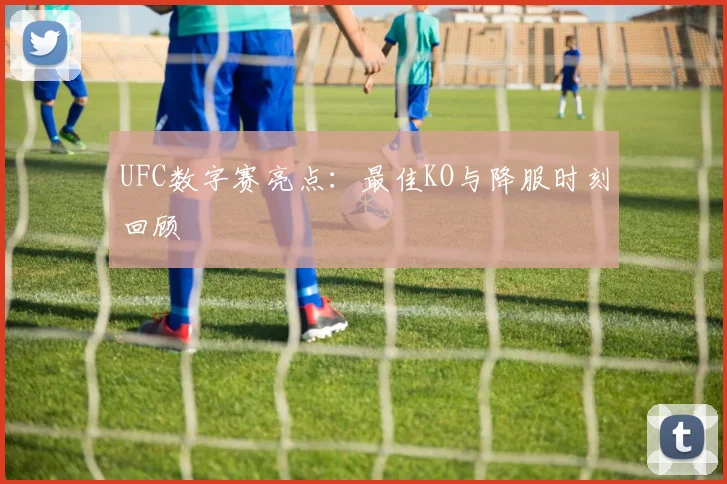 UFC数字赛亮点:最佳KO与降服时刻回顾
