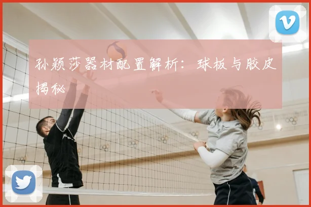 孙颖莎器材配置解析：球板与胶皮揭秘