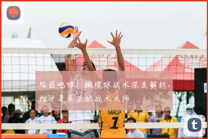绿茵咆哮！橄榄球战术深度解析，谁才是真正的战术大师