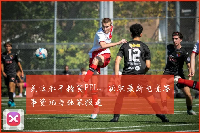关注和平精英PEL，获取最新电竞赛事资讯与独家报道