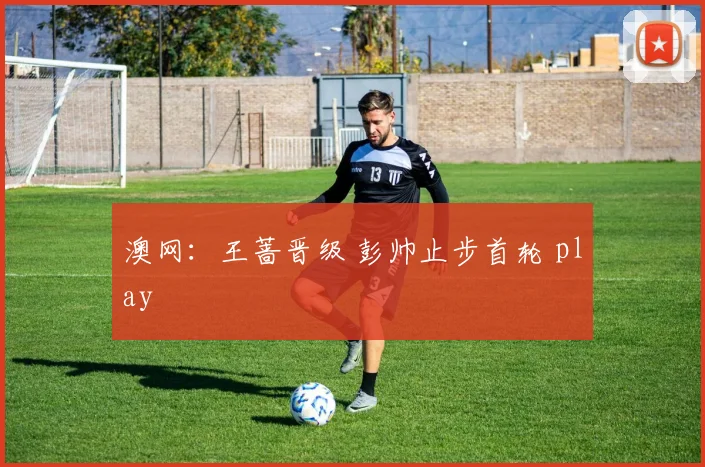 澳网：王蔷晋级 彭帅止步首轮 play