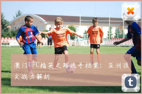 澳门UFC精英之路选手档案:亚洲顶尖战力解析