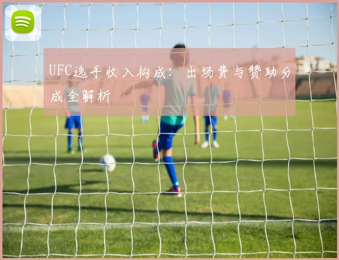 UFC选手收入构成：出场费与赞助分成全解析