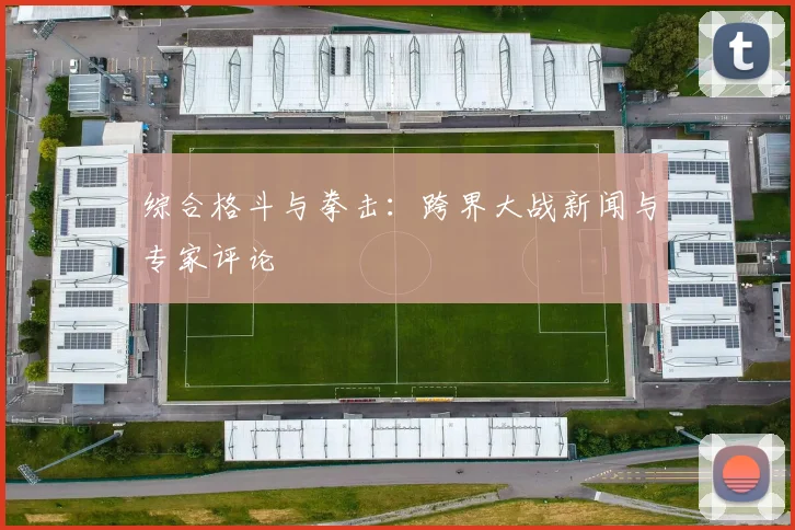 综合格斗与拳击：跨界大战新闻与专家评论