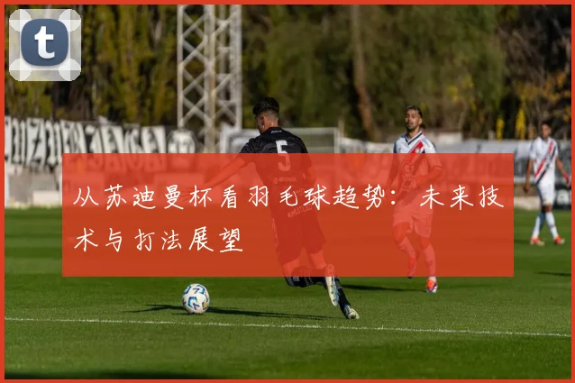从苏迪曼杯看羽毛球趋势：未来技术与打法展望
