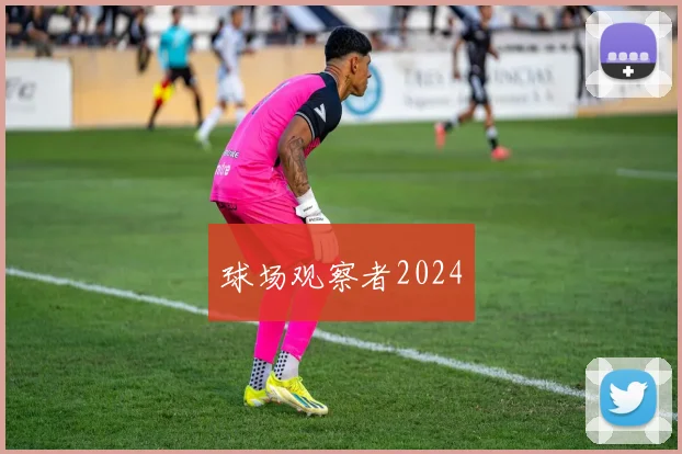 球场观察者2024