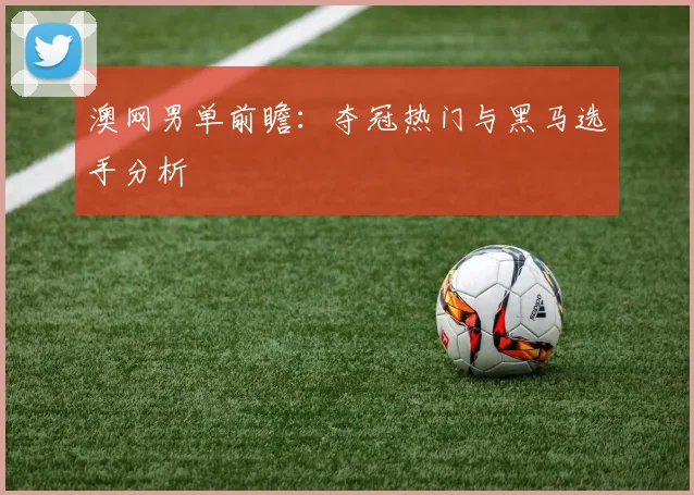 澳网男单前瞻：夺冠热门与黑马选手分析